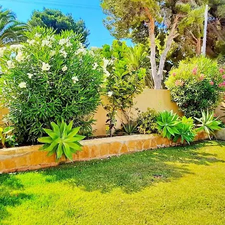 Haleakala مورايرا